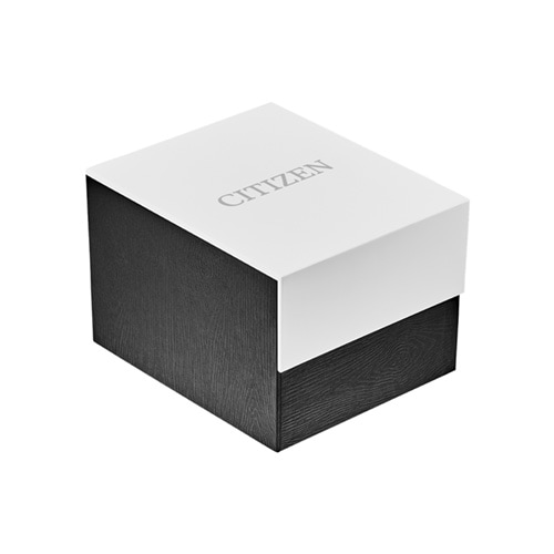 Men’s Citizen Eco-Drive® Axiom Watch
