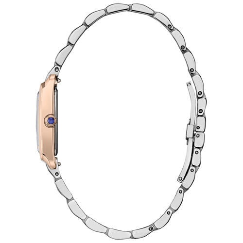 Ladies' Citizen Eco-Drive® Watch
