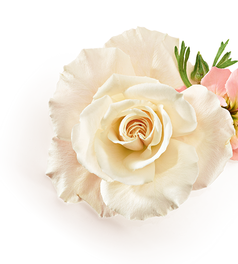 Flower Flower
