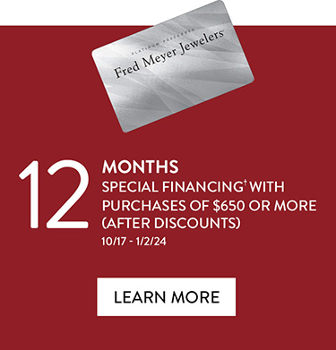 12 Months Special Financing† With Purchases of $650 or More (After Discounts) | Learn More